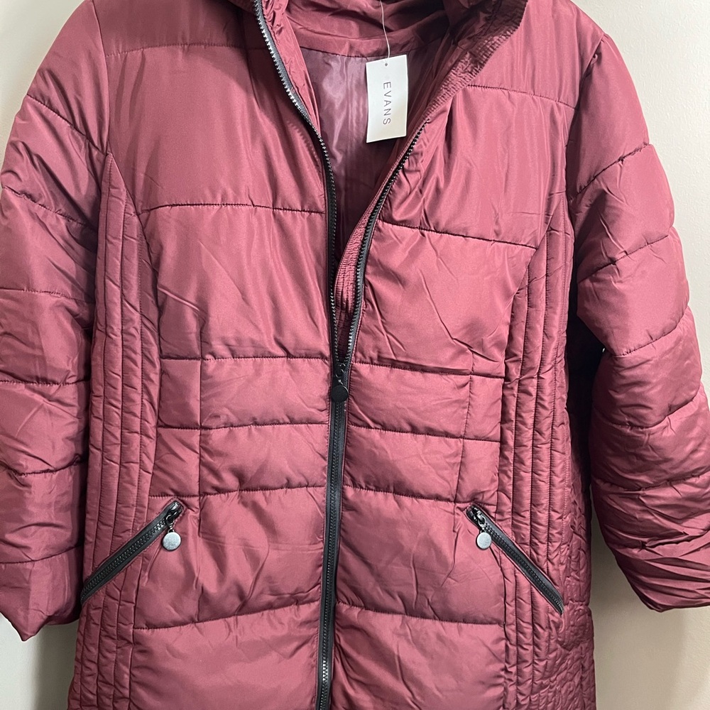 Women’s coat size 22, color: Wine, New with Tags